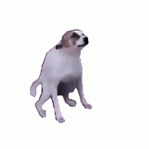 4337a4be75e9ae8cfc1af605dd4bdc00.gif.32e1fc9e6e59e1d3d1468ace0d5736ec.gif