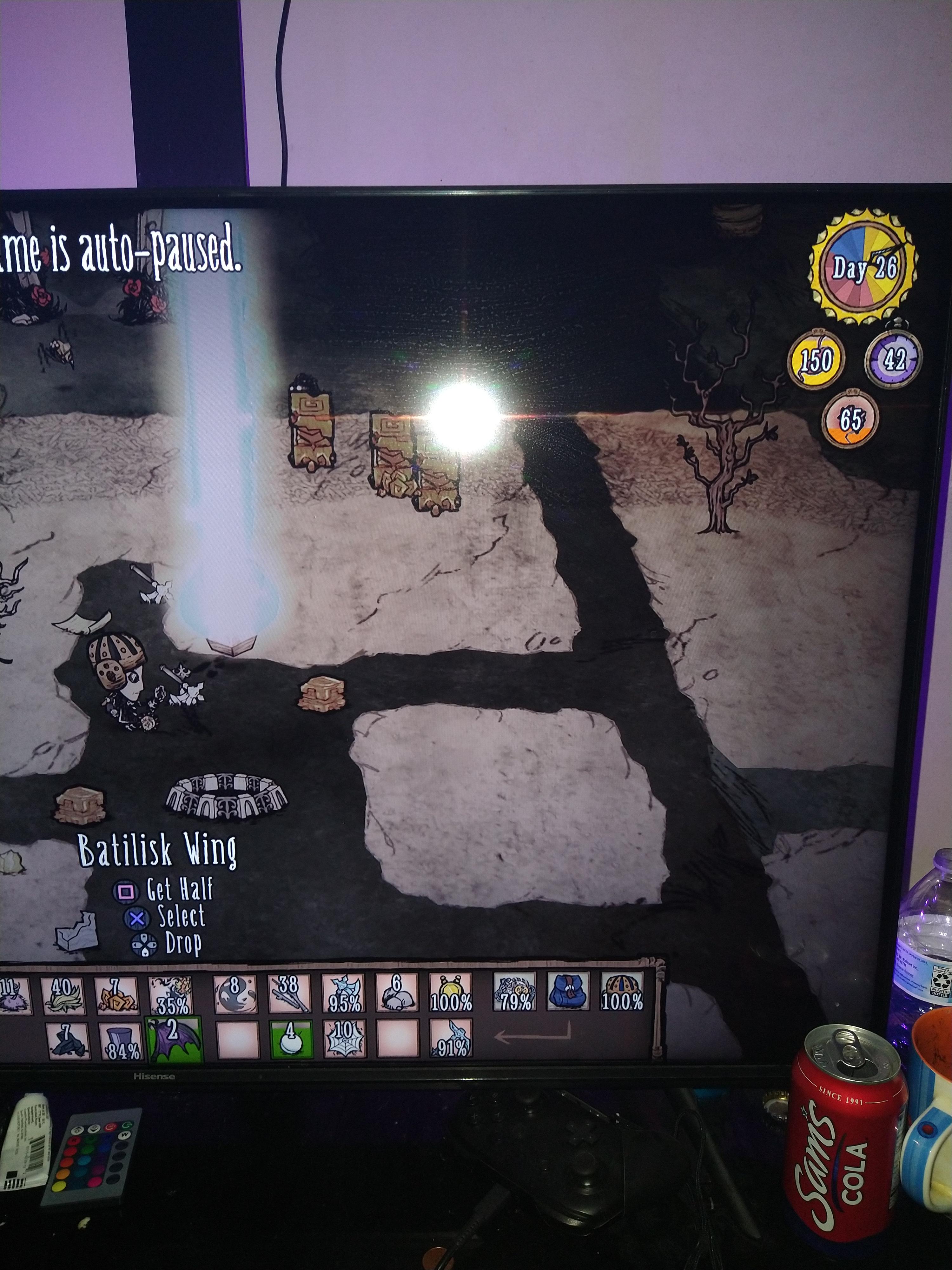 Active terrarium during day Don't Starve Together Klei