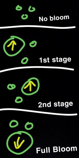 Snapchat-156336502.jpg