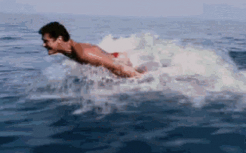 david-hasselhoff-the-hoff.gif.401f6829728ba2d63863ce2a17937f92.gif