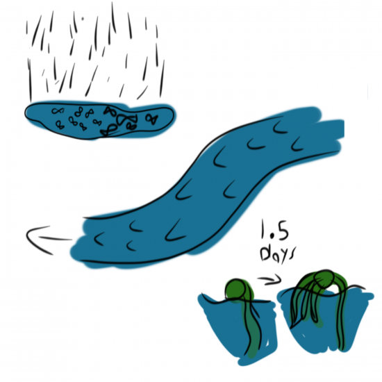 sketch1650424390061.thumb.png.cd94940a0e815a0a1454d3026049c3e1.png