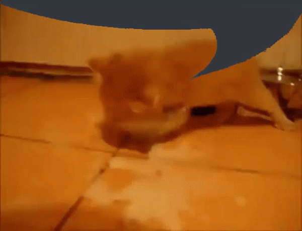 1057527477_ezgif.com-gif-maker(1).gif.66a7da952ba28fe942089e19af660d70.gif