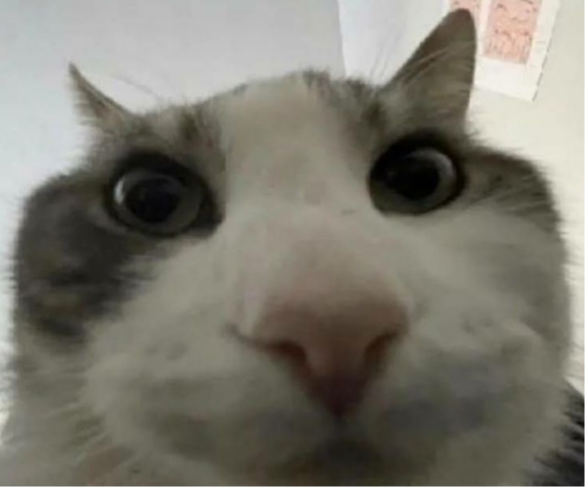 20220522_120843.png.bd53976d605f10fc007708eb4788e1cd.png