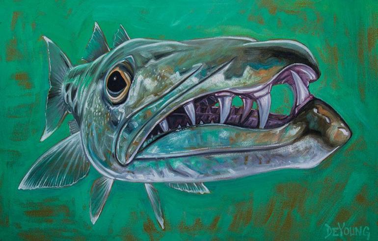 Barracuda.jpg