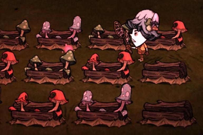 winona-mushroom-planters-spore-funcap.jpg