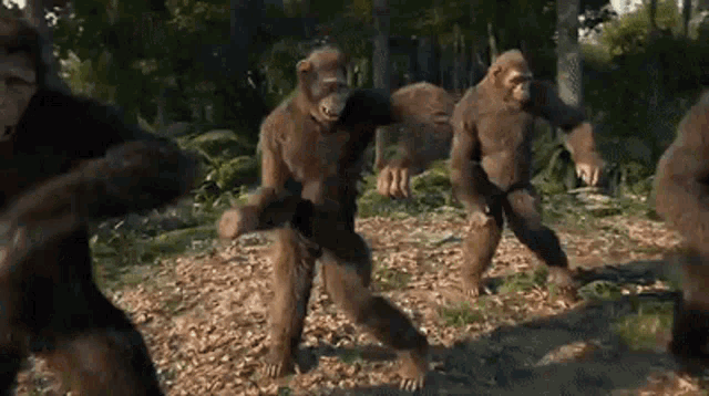 coldplay-dancing.gif.b1aa91318778560bef1d88c29e915ad9.gif