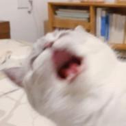Anowaaa