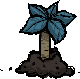 palmcone_seed_planted.gif.0c81ed92d2e72965fb82d6701381ffd1.gif