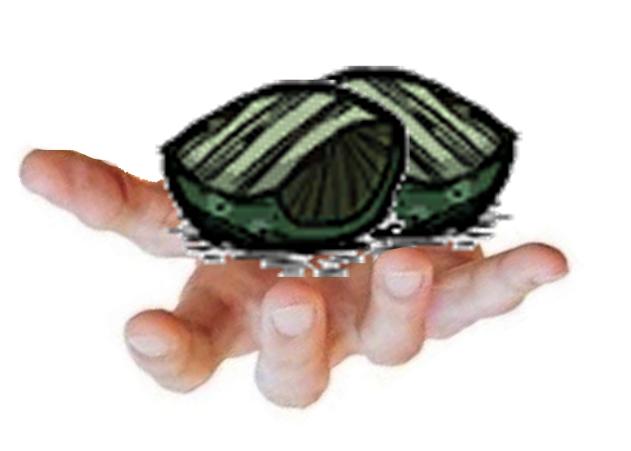 cookedgreencap.jpg.ce6125e03cb3e7df15535da125eefe15.jpg