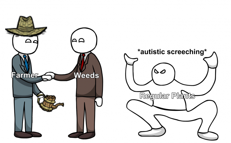 plants_rage.png