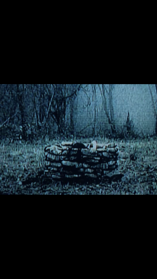 1862D6BA-DEA5-4156-BB14-7160D2C50FFC.thumb.png.8a28e7af5c71d6e0d1870132448697dd.png