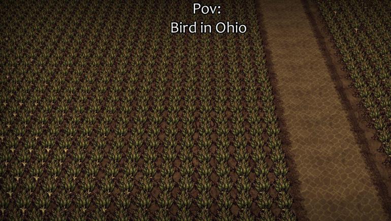 corn.thumb.jpg.27cc92dc304aab825c5e12cd53100c4d.jpg