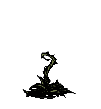 hedgehound_bush-rewardtobush.gif.a2aaa72f3df027c54ec3274001a8c647.gif