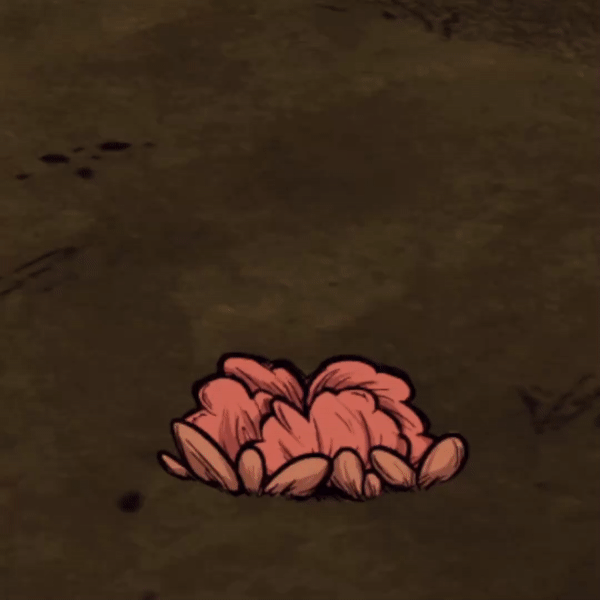 hop.thumb.gif.59e064e660fcb522da5aa08a61accc0a.gif