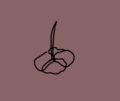 image.png.fcc167ad0be589191f9085be0b732216.png