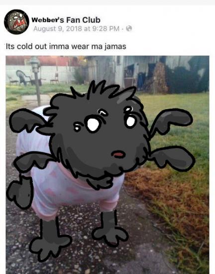 webbr jamas.jpg