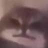 MTASTEY