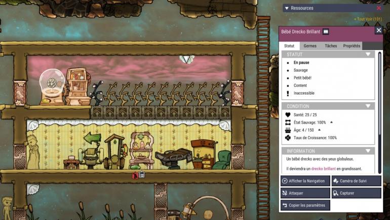 drecko not tamed.jpg
