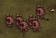 Pvb92AnzDg.png.11e264ff3c5ede24b07beca375bc4232.png