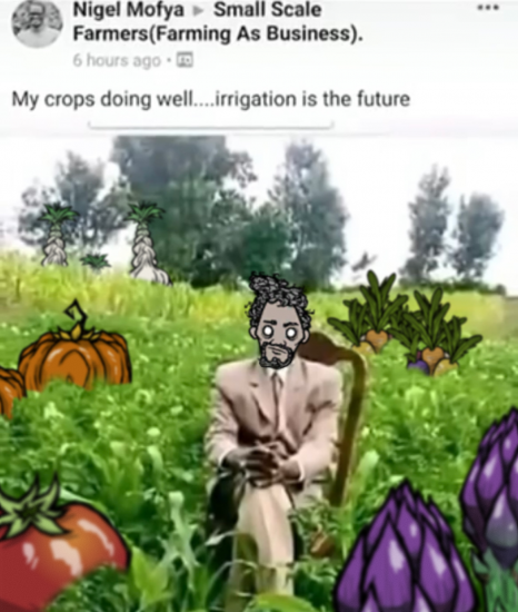 warlycrops.thumb.png.f849290c894397a485e5d7fcb0bb878e.png