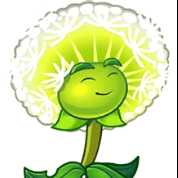 partythyme