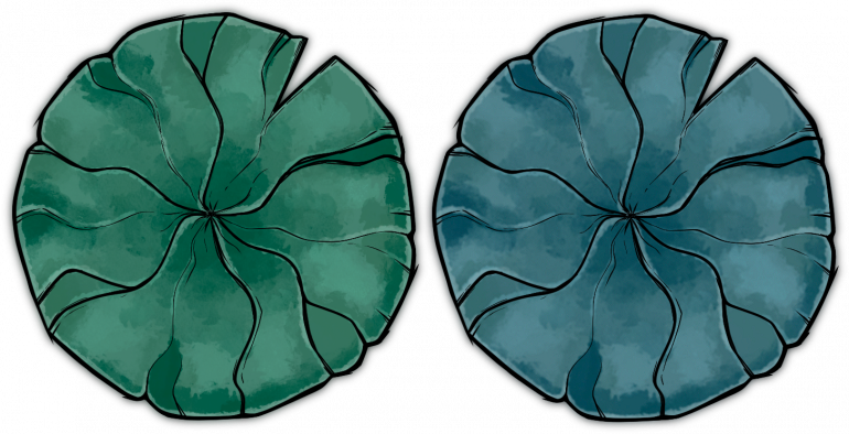 Lilypads.thumb.png.3cc7199a12eb85d41959efaccc4e234c.png