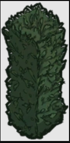 image.png.f8e090d9e31c622a184fd59756848a48.png