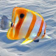 thesnowyfish
