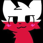 DawidXD19