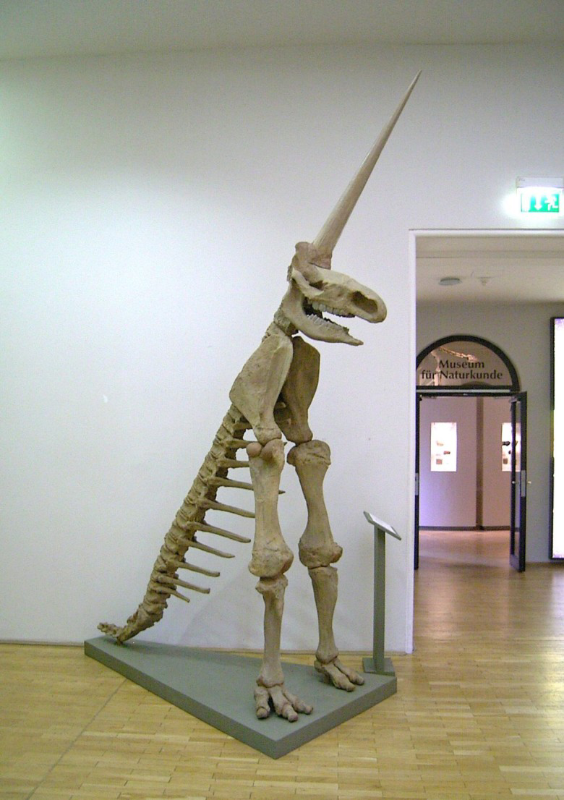 image.png.543ec3e6b41bf10147bc66df01763523.png