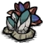 Barnacle.webp.18554068d4d7add5110ba03f9f049f8d.webp