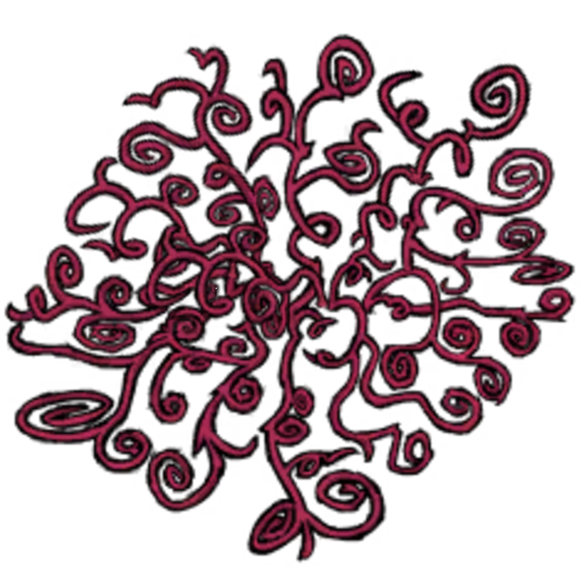 Jungle_Vines.png.f397b2cf0e59b61d05b2177430d29968.png