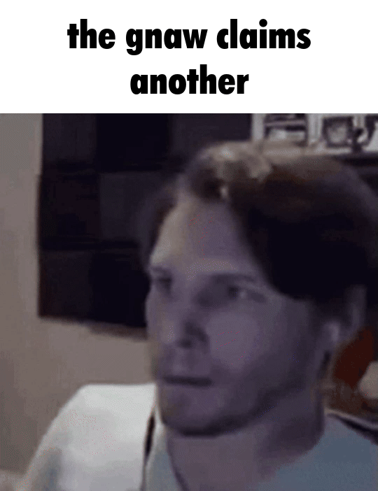 image.gif.11f43f2572176cf72445cffd9223659f.gif