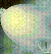 Hotlight.gif.3843dd6042f8d0e4625dc7127942a26c.gif
