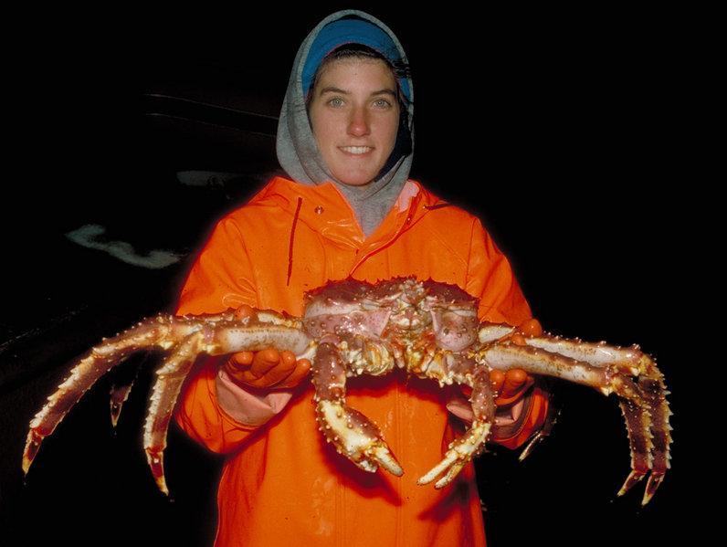 Redkingcrab.jpg.94e0f27c14792553d7d3a134e8609528.jpg