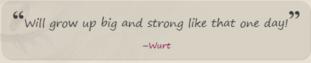 Wurtneedtogetstrong.png.406cb8ee356dd8654a7c25d8350b28a5.png
