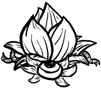 image.png.fb6bc494fa8ab97077e3e24d9f9fdd57.png
