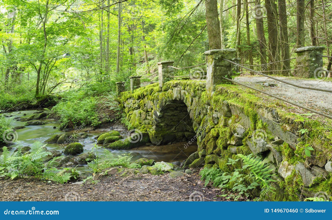 image.png.d952f4ff55a7d53ac7007191dc6cf9d8.png