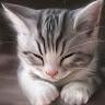 Slepe