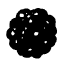 Gunpowder_Rounds_Maker.webp.249dec9def0b8bffe1cf1a9424ac12e2.webp