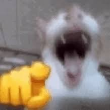 image.png.312120d1e10ef454f3c40d28f14569ac.png