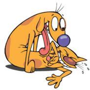 catNdog