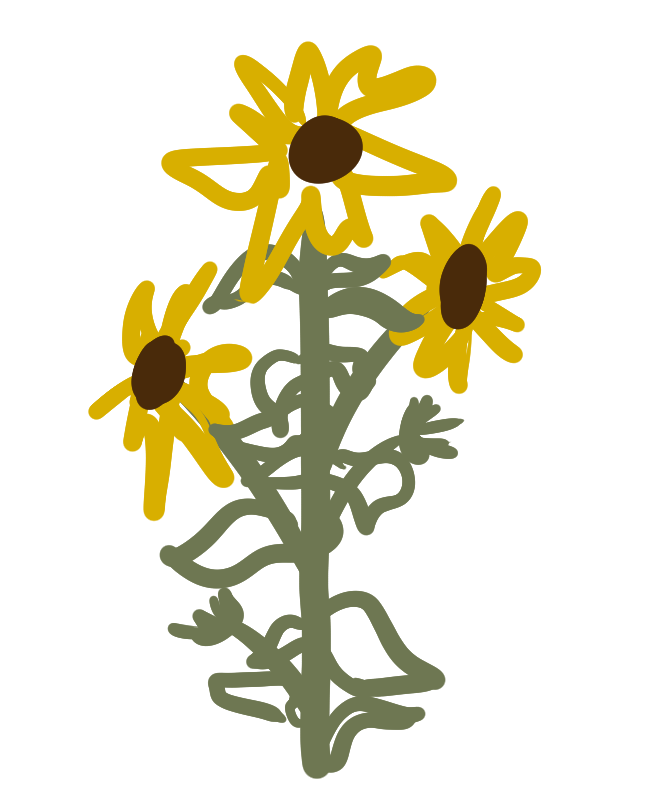 rough.png.1073a895761f5e9993df9d58b6211bfc.png