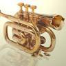 Mr.Trumpet