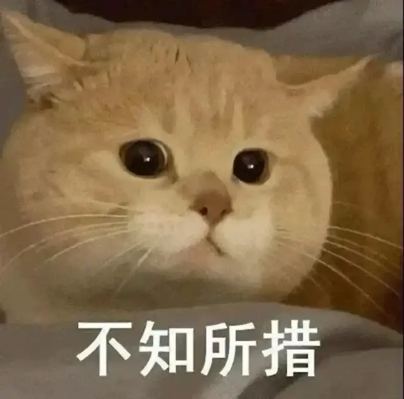 v2-66524544083e2086d0edb75989556e05_1440w.webp.afe7db67dc1bbdf88dbbcd3e2a60e23b.webp