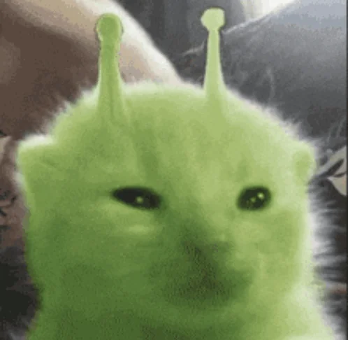 image.png.3065f027b74a506ae1d760d19d9eb8a9.png