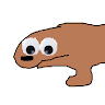 MSANIMALTHECOOL