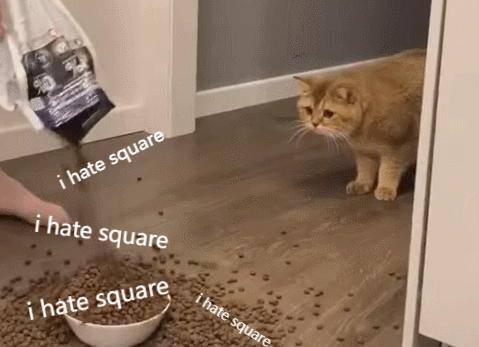 c147a22a8a9b4b13b8b045b9fb573650.jpeg.819b09d15fc8b8ddfcadbf6cb33c281b.jpeg