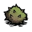 Birchnut.webp.a97dd8c16479d42f1c3fcc4985d73b2a.webp
