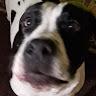 Mygmunt123